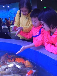 WeChat 圖片_20190326110919