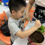 8d016179292c7df330c376ce5c8ca78