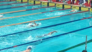 69399797_10162357081280338_8713323479086137344_n