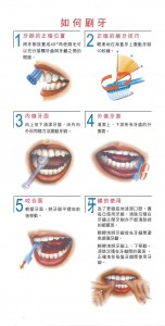 牙齒保健1-2