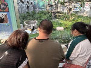 IMG_1912