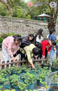 20240328-圖片_20240328100223