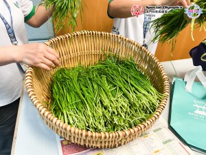 20240618-圖片_20240618141456