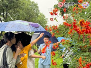 20240923-圖片_20240923142947