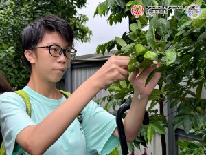 20240923-圖片_20240923143006