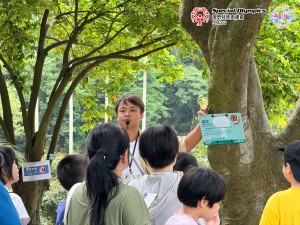 圖片_20250530160151