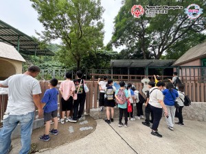 圖片_20250530160202