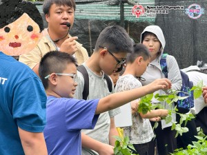 圖片_20250530160216