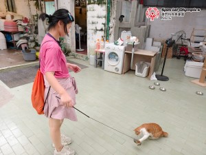 圖片_20260520175216