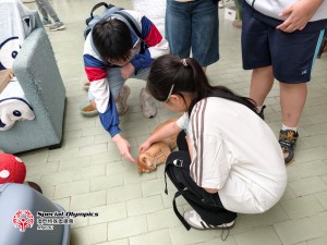 圖片_20260520175222