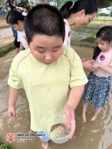 圖片_2026-08-06_165220_595